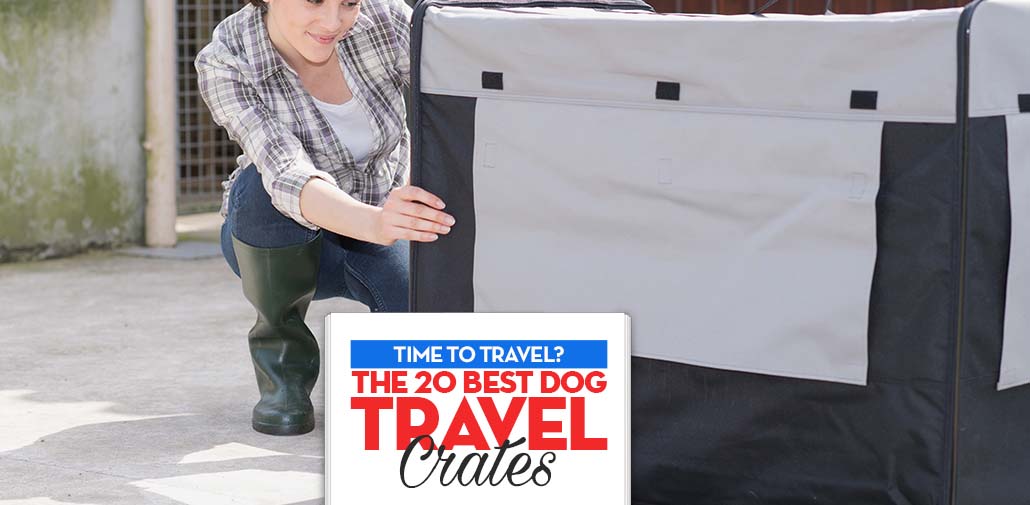 The Best Dog Travel Crates