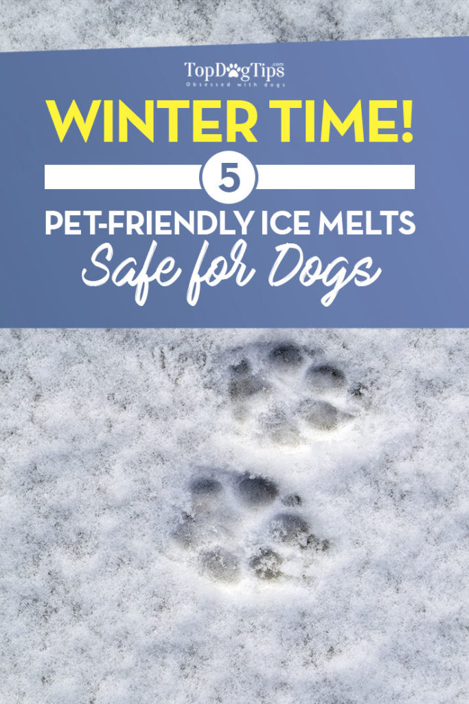 The Best Ice Melt Safe for Pets Outdoors