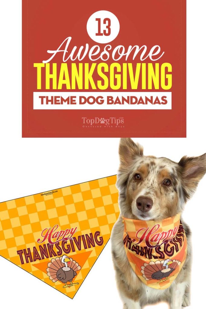 The Best Thanksgiving Dog Bandanas