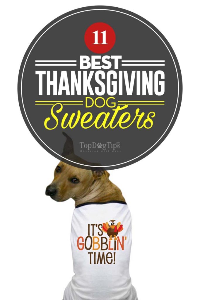 The Best Thanksgiving Dog Sweaters