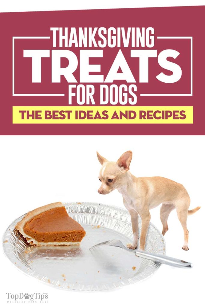 The Best Thanksgiving Treats for Dogs