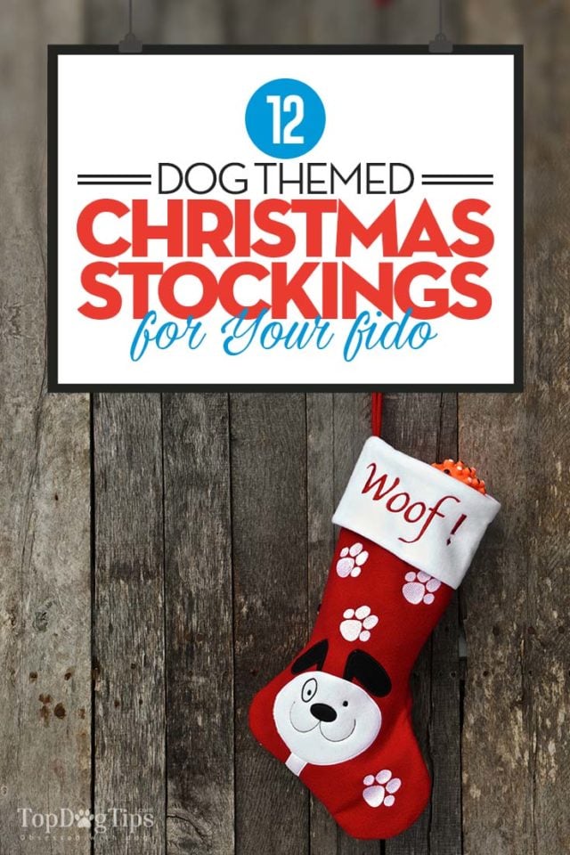 Top Best Dog Christmas Stockings