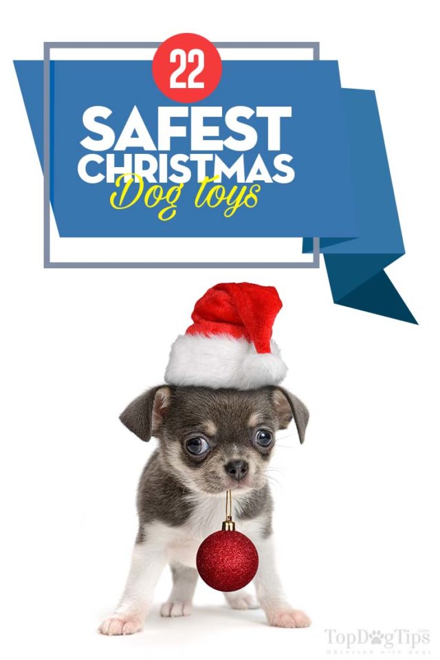 Top Safe Christmas Dog Toys