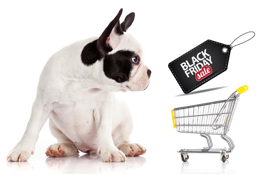 UPDATE Best Black Friday Deals Dog Supplies