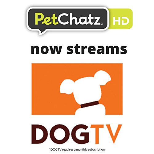 PetChatz HD Pet Camera Giveaway