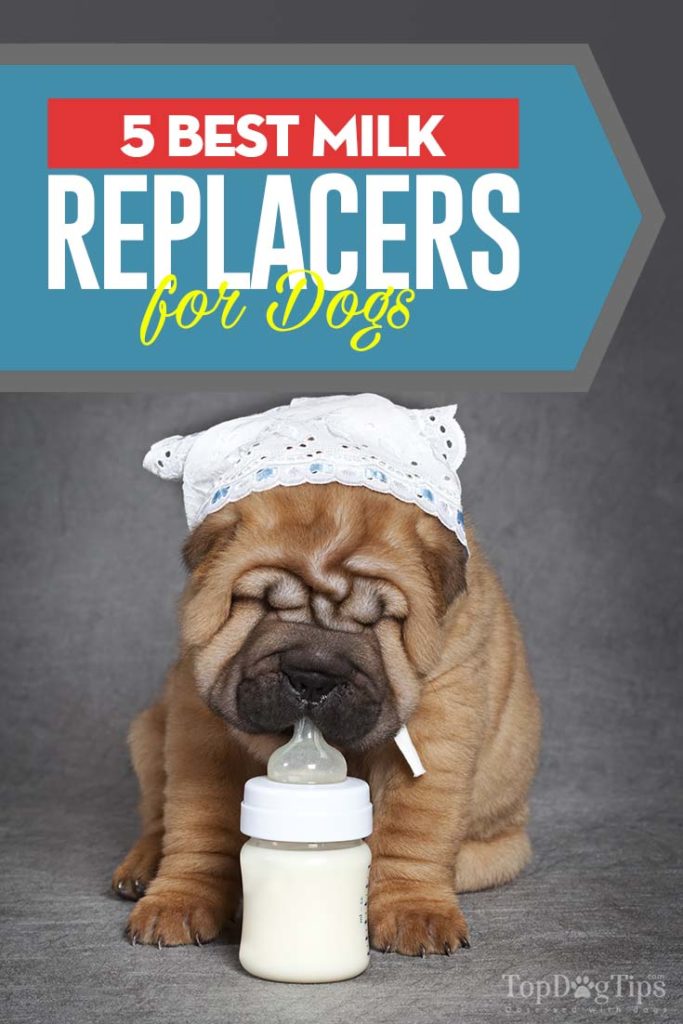 5 Top Rated Milk Replacer for Dogs