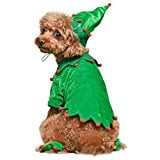 Pawz Road Elf Pet Costume