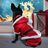 Pet Leso’s Dog Christmas Coat Santa Costume