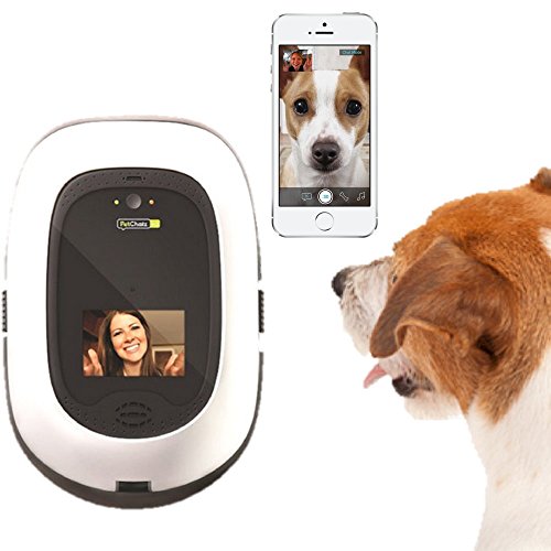 PetChatz HD Pet Camera Giveaway