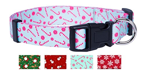 Native Pup’s Christmas Dog Collar