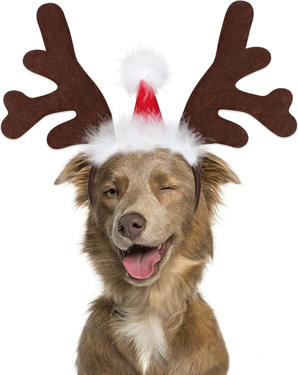 BWOGUE Dog Elk Headband with Santa Hat