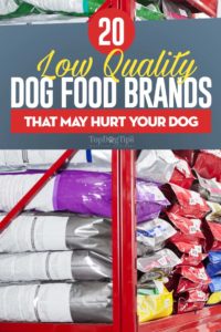 Bad Dog Food Brands