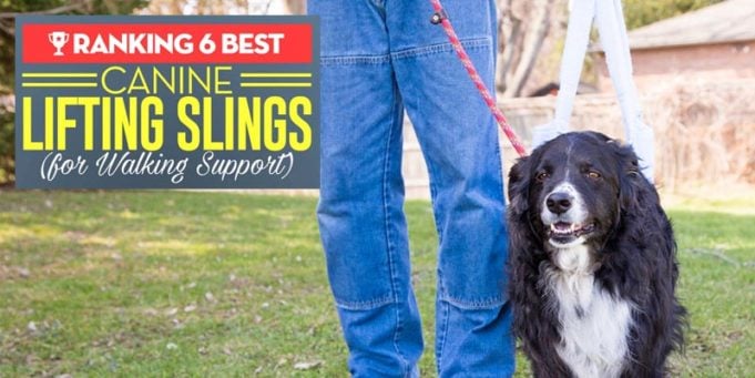 Best Dog Sling Harness