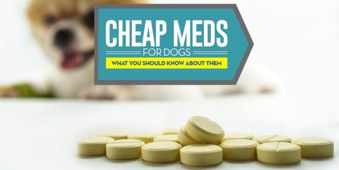 Buying Cheap Pet Meds Online for Dogs