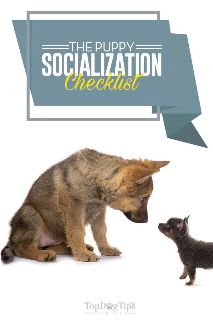 Checklist for Puppy Socialization