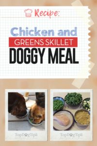 Chicken and Greens Skillet Homemade Dog Food Recipe