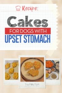 Chicken and Rice Cakes for Dogs with Upset Stomach Recipe