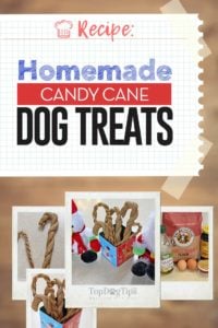 Homemade Candy Cane Dog Treats Recipe