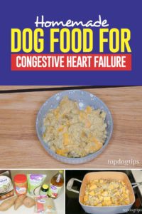 Homemade Dog Food for Congestive Heart Failure Recipe