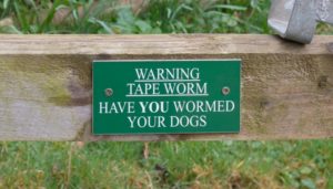 How Do Dogs Get Worms