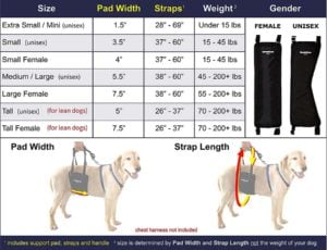 How to measure for dog sling harness