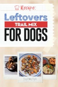 Leftovers Trail Mix for Dogs Recipe