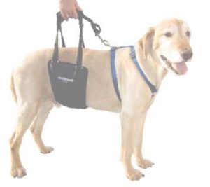 Measuring support sling dog harness