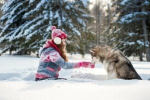 New Year’s Resolutions Ideas for Dog Owners