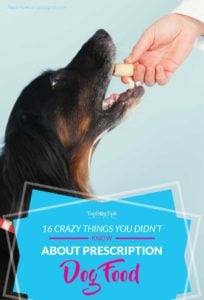 Things You Didnt Know About Prescription Dog Food