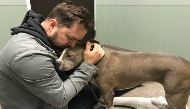 Dog Stolen, Reunited with Owner This Christmas