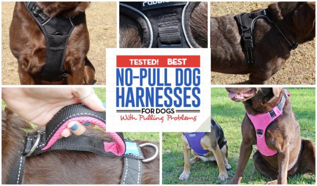 32 Top Rated Dog Harnesses for Dogs That Pull in 2018