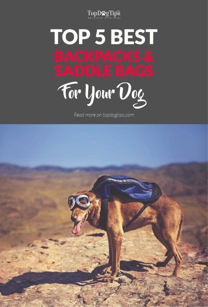 5 Top Rated Best Dog Backpacks and Saddle Bags