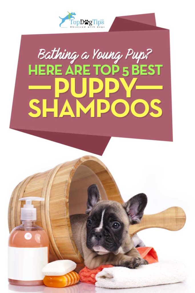 5 Top Rated Best Puppy Shampoo for Young Dogs