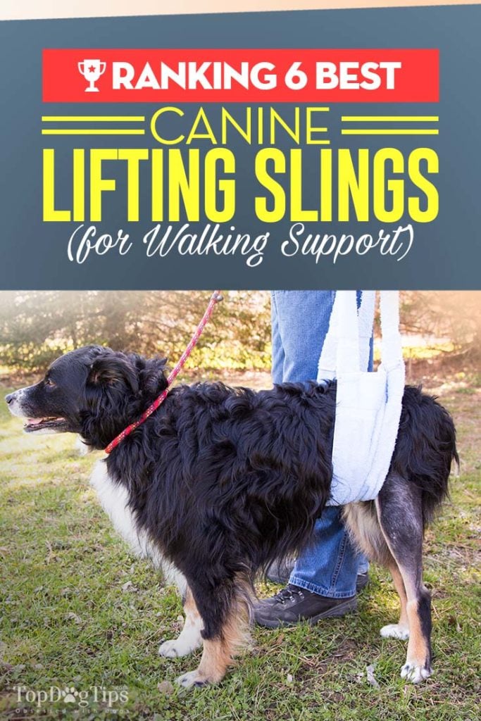 6 Top Rated Best Dog Sling Harness