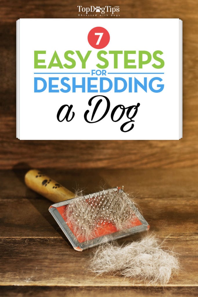 7 Steps to Deshedding a Dog Checklist