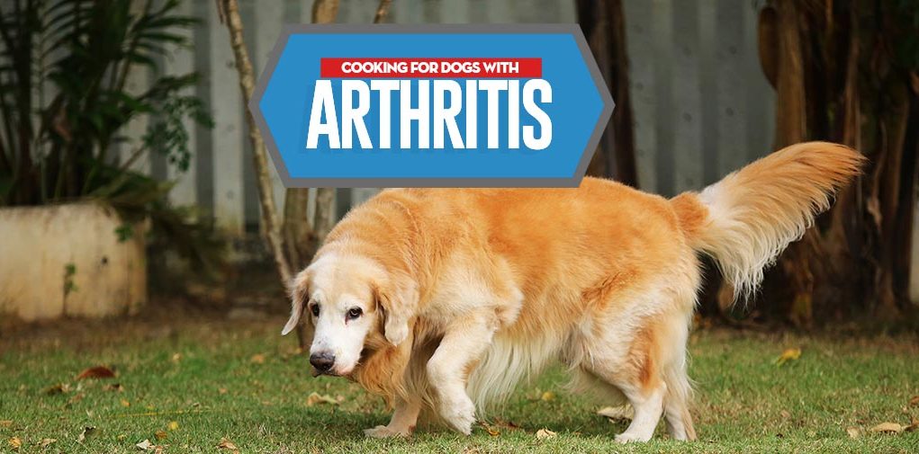 Arthritis Diet for Dogs