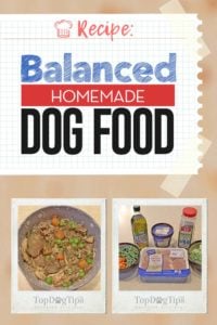 Balanced Homemade Dog Food Recipe