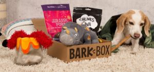 BarkBox Dog Subscription Box