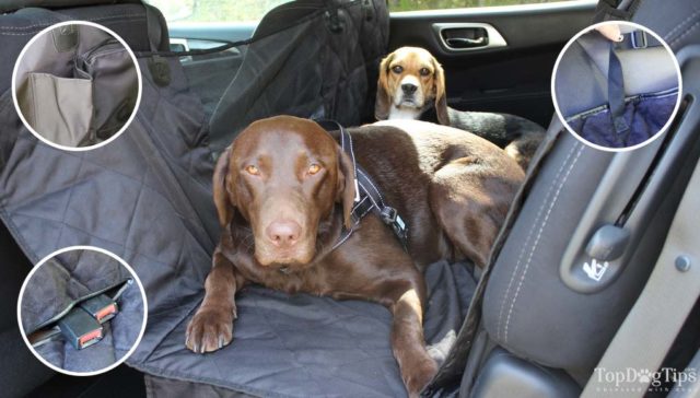 Best Car Seat Covers for Dogs for Cars