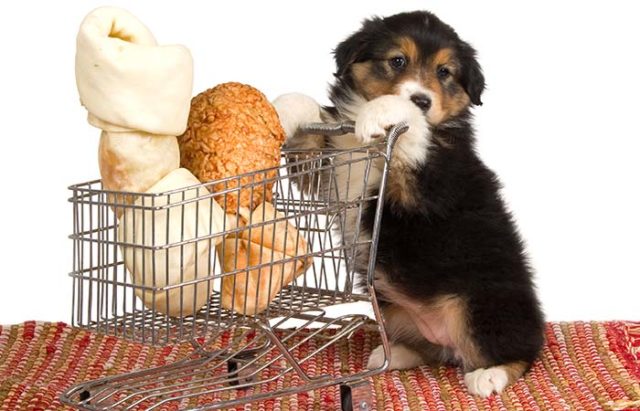 Best Dog Food Coupons and Coupon Sites