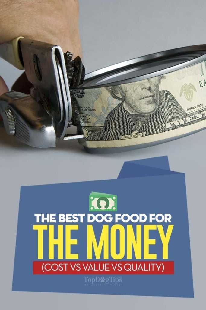 Best Dog Food for the Money (Cost vs Value vs Quality)