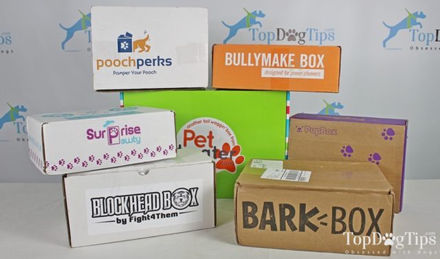 Best Dog Subscription Box 2020