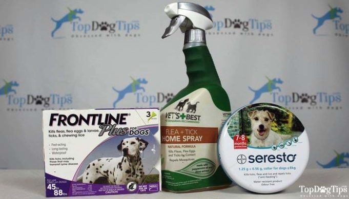 Best Flea Drops for Dogs - Most Effective Brands