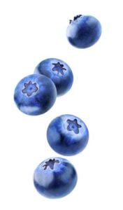 Best Human Foods for Dogs - Blueberries