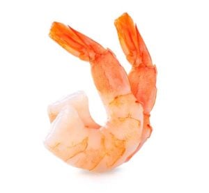 Best Human Foods for Dogs - Shrimp