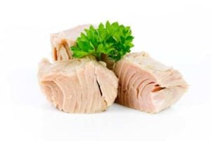 Best Human Foods for Dogs - Tuna