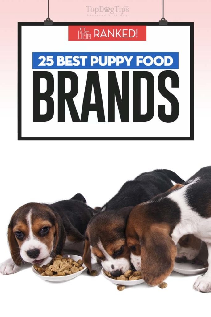 Best Puppy Food Brands of 2020