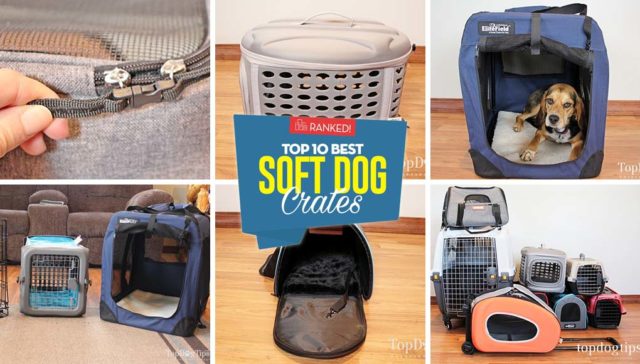 Best Soft Sided Dog Crates - Top 10 Rankings