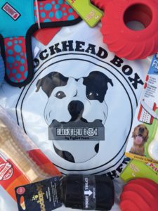 Blockhead Box dog subscription box review