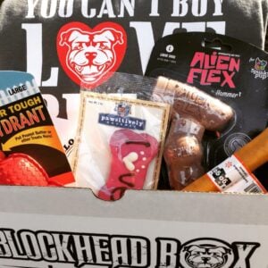 Blockhead Box dog subscription box review